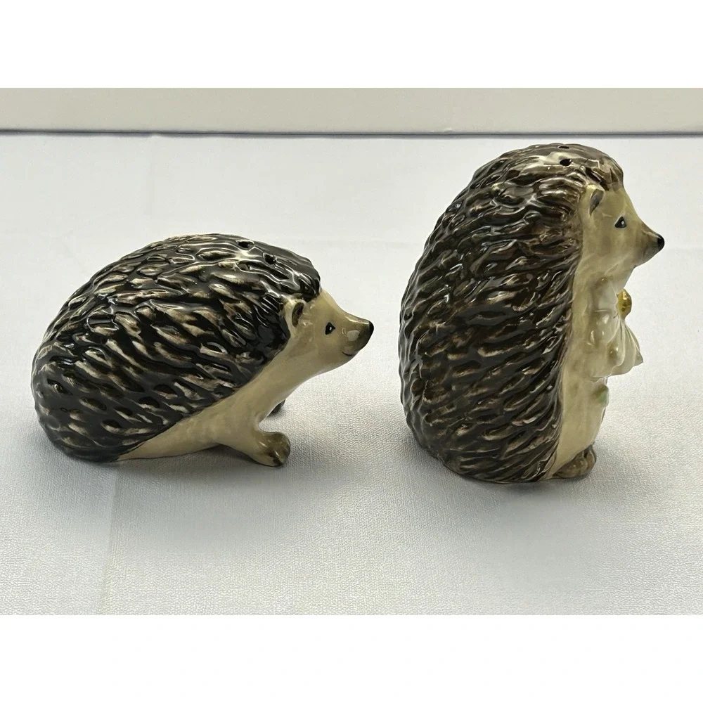 Ceramic Hedgehog Salt & Pepper Shaker Set Woodland Daisy Cottagecore Decor